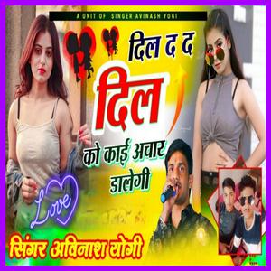 दिल द द दिल को काई अचार डालेगी