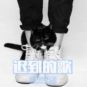 迟到的歌（Cover 小右）