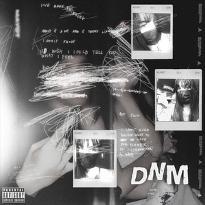 Dnm