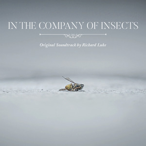 In the Company of Insects