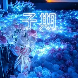 童年里爱的姑娘