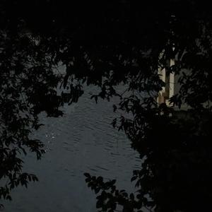 抱紧我又推开我 草原兄弟