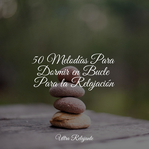 Trascendencia en Movimiento