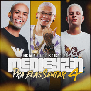 Medleyzin pra elas sentar 4
