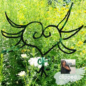 Clipped