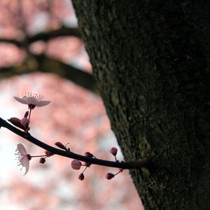 谁是