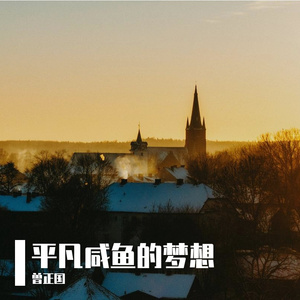 平凡咸鱼的梦想