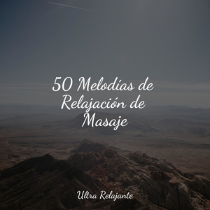 Hermoso Descanso Nocturno