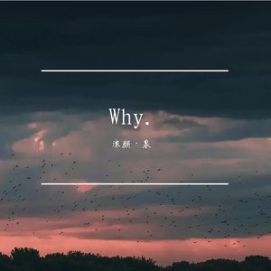 Why.（翻自 罗之豪）