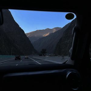 有毒的草 开着迷人的花