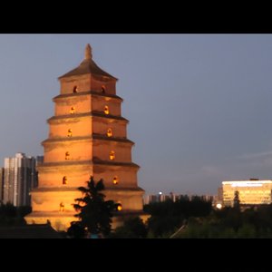 Fatal love(白晶晶x0.8)