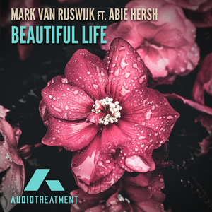 Beautiful Life (Radio Mix)