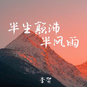 半生颠沛半风雨