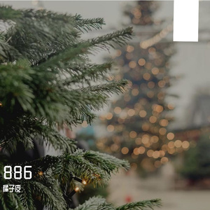 晚安 的话只对你说