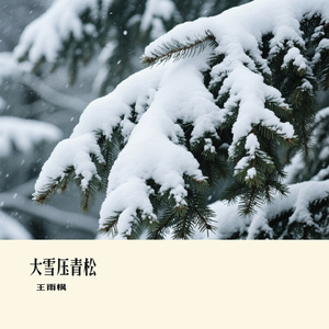 大雪压青松