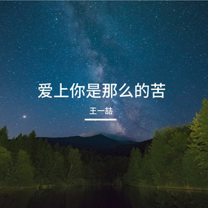 爱上你是那么的苦