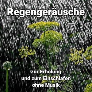 Regengeräusch zum Einschlafen