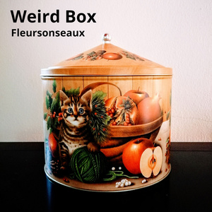 Weird Box