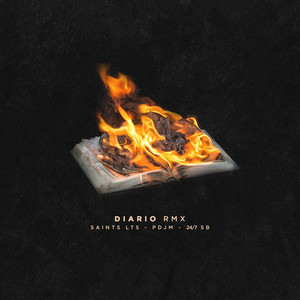 Diario RMX