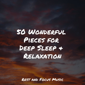 Tranquil Contemplation