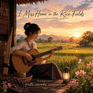 I Miss Home in the Rice Fields
