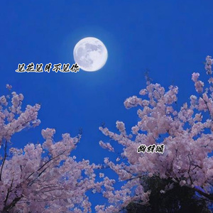 见花见月不见你