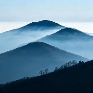 心向远山