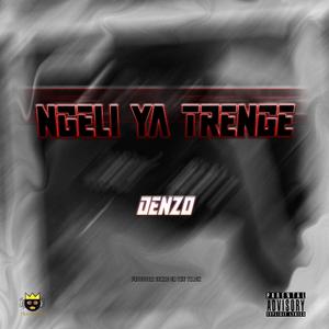 Ngeli Ya Trenge (feat. Tk Lyon & Elvo Maddoh)