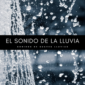 Sonidos De Lluvia Para La Paz