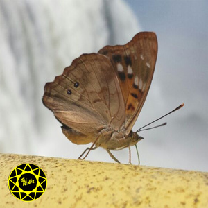 Block The Sun, Pt. 1