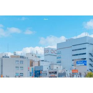 《夏天的风》（cover林加弦—）（翻自 林加弦-）