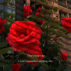 落在生命里的光