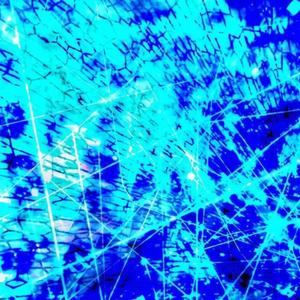 insect (feat. sephe)