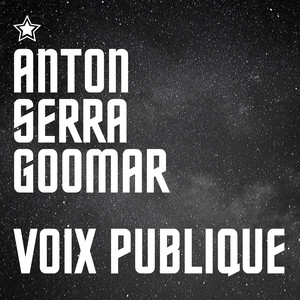 Voix publique