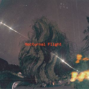 Nocturnal Flight