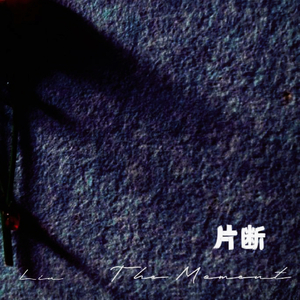 片断（The moment）