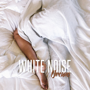 Noise