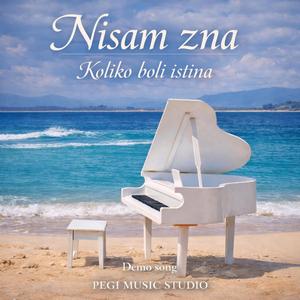 Nisam zna