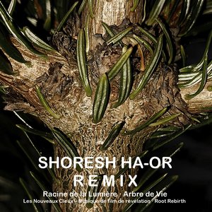 Shoresh Ha-Or - Remix -Racine De La Lumière · Arbre De Vie Les Nouveaux Cieux – Musique De Film De Révélation - Root Rebirth