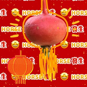 《我要起飞㈡》