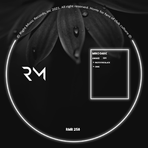 Prototipe Black