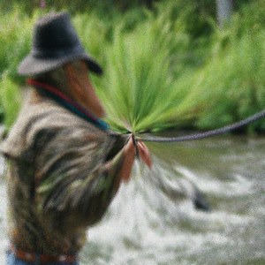 Sifted