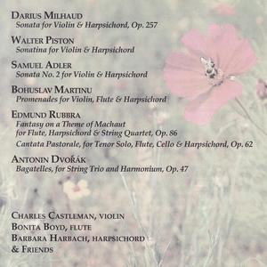 Sonata No. 2 for Violin and Harpsichord: Allegro moderato