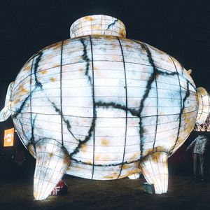 2026年3月3日在梦里我变成了一只福瑞，但醒来后发现已经七点半了