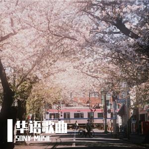 觅光（SONY MUSIC remix）