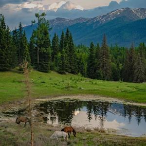 手心的花瓣（5）