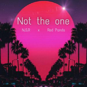 Not The One (feat. Red Panda)