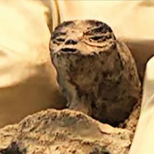 Hanno Scoperto Gli Alieni