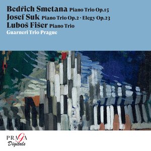 Piano Trio in G Minor, Op. 15: I. Moderato assai - Più animato