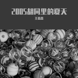 2005胡同里的夏天